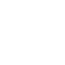 Burglary and Intrusion Monitoring